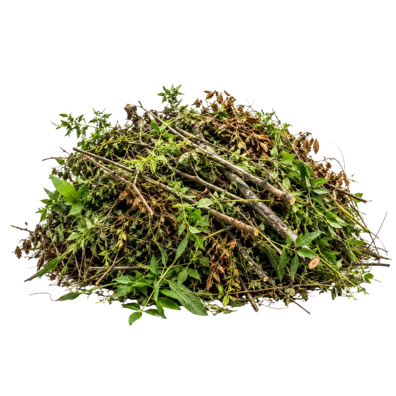 Weed Removal service in Bengaluru