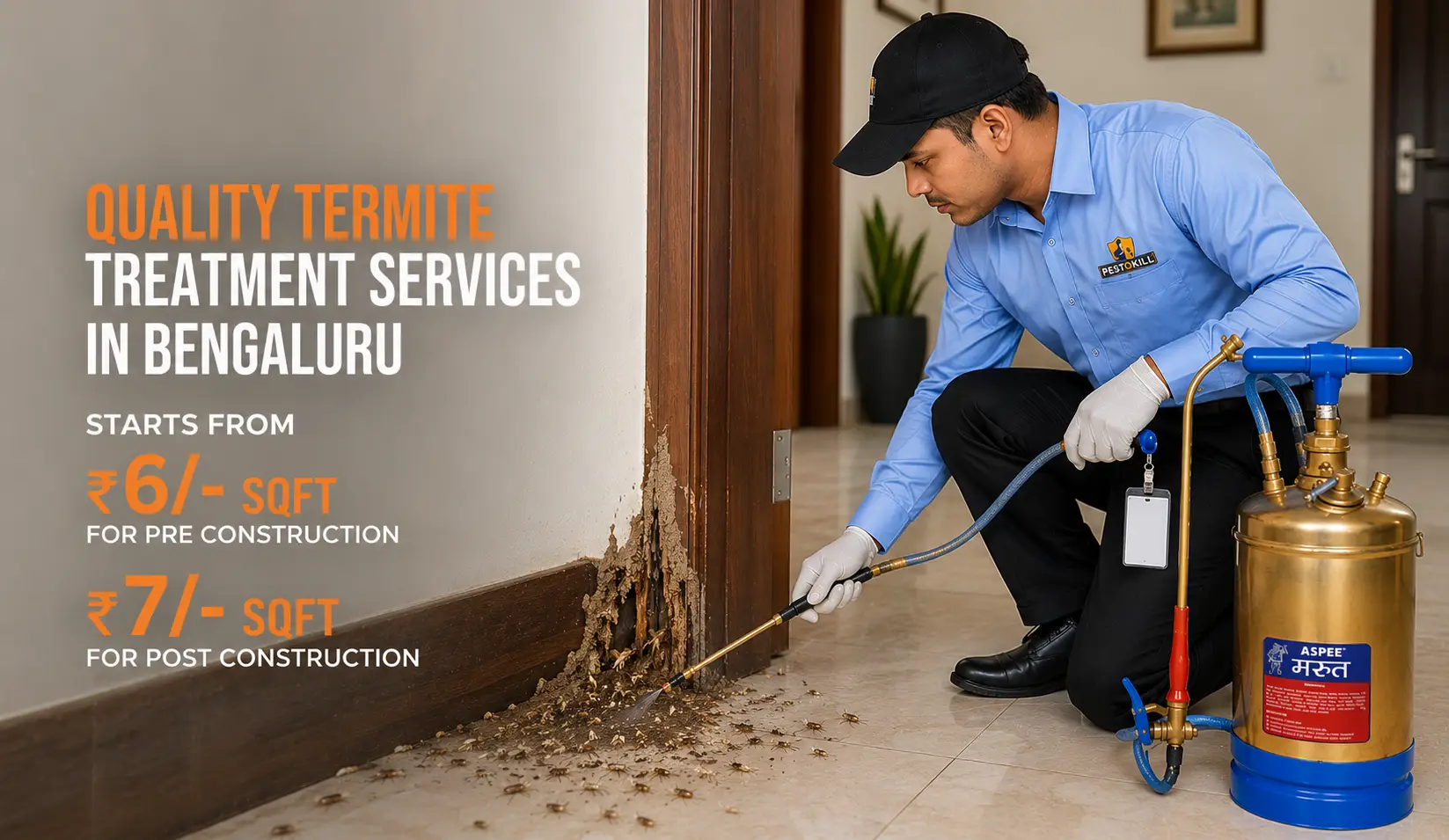 Professional pest control service in Bengaluru