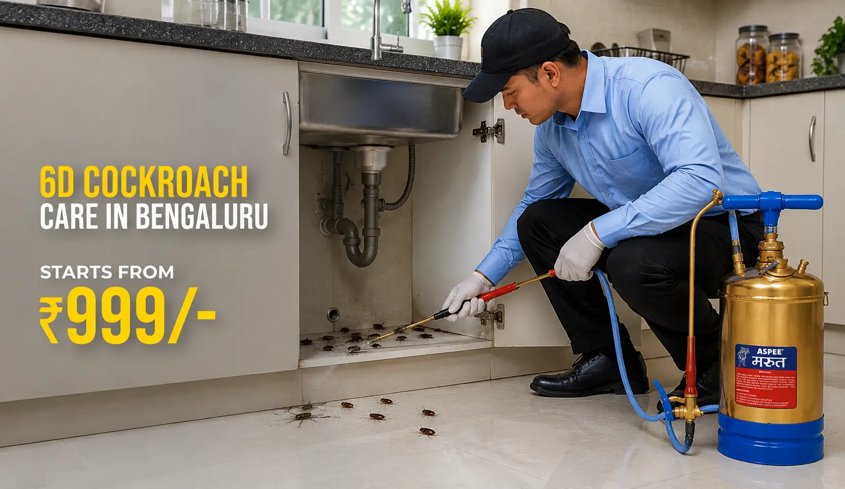 Termite, cockroach and mosquito control experts in Bengaluru